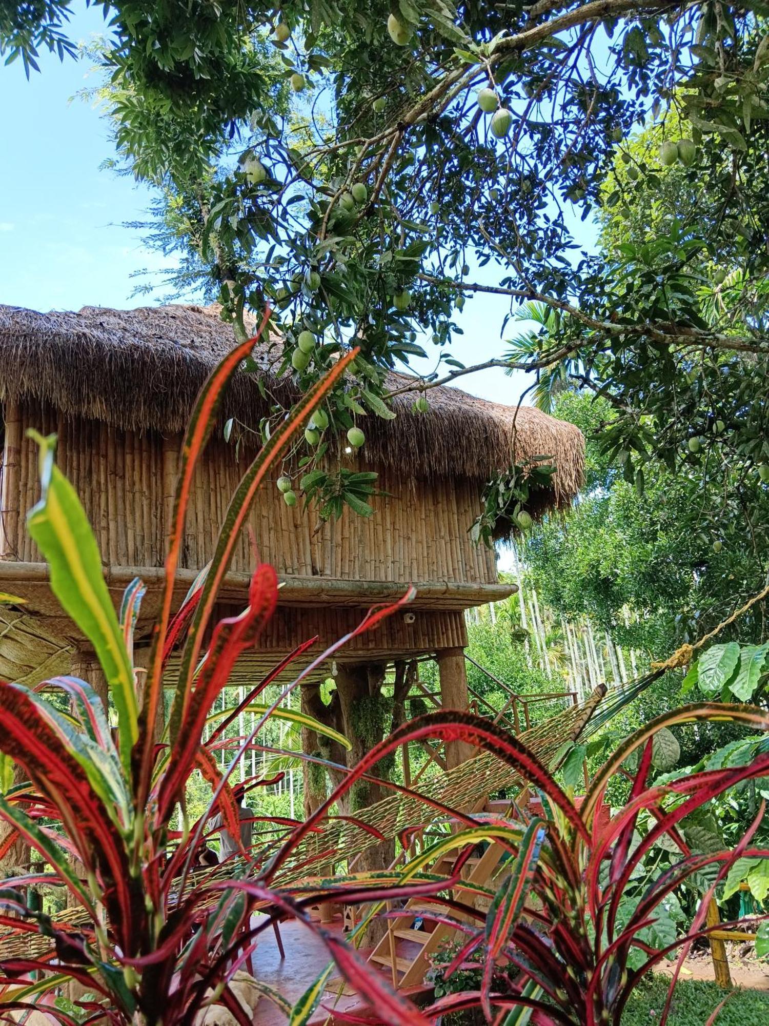 Kalidasa Tree House And Villa, Wayanad Chegat Экстерьер фото