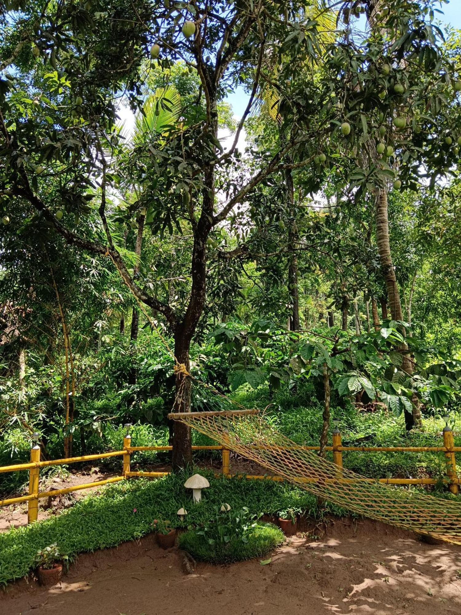 Kalidasa Tree House And Villa, Wayanad Chegat Экстерьер фото