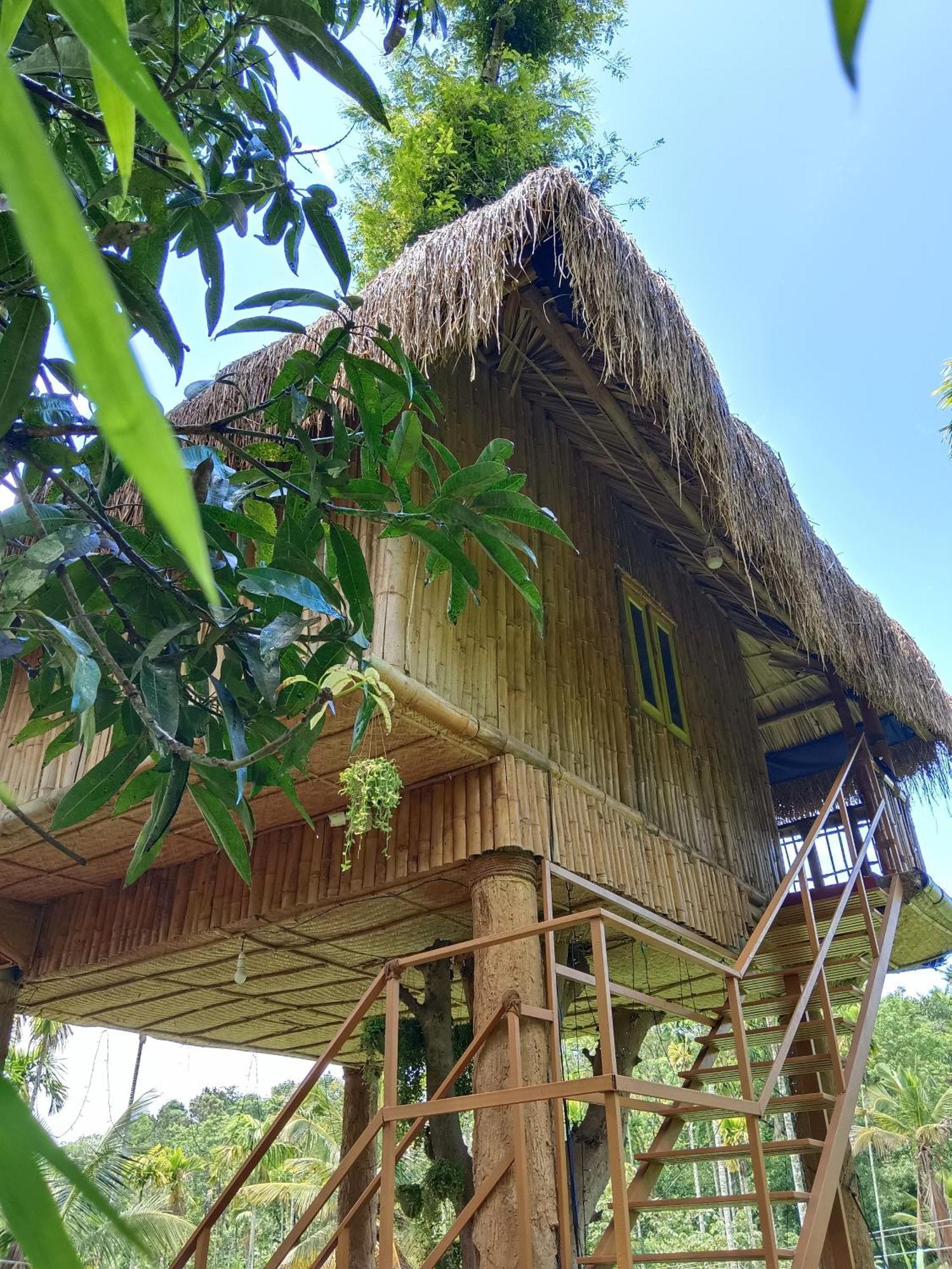 Kalidasa Tree House And Villa, Wayanad Chegat Номер фото