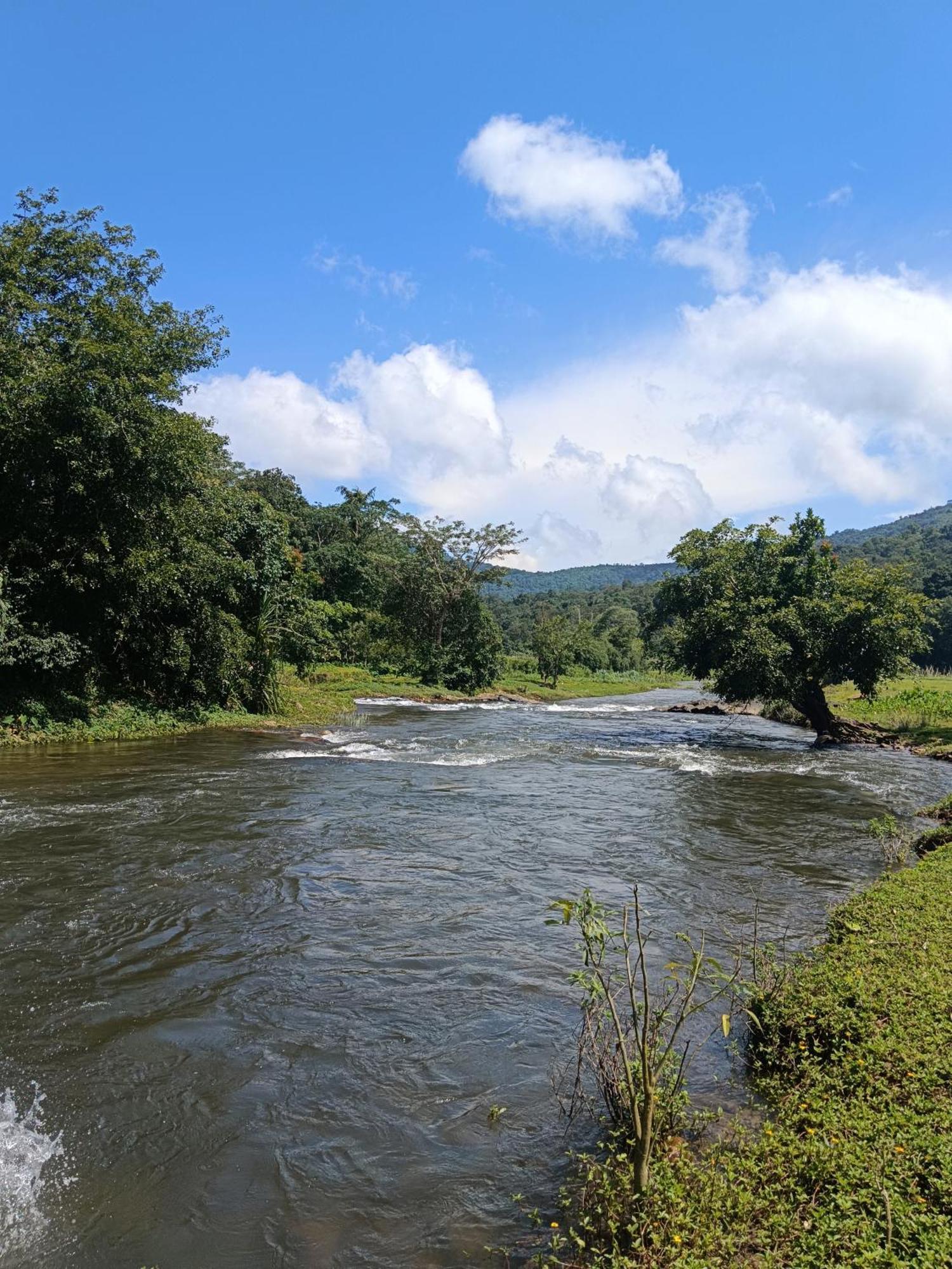 Kalidasa Tree House And Villa, Wayanad Chegat Экстерьер фото