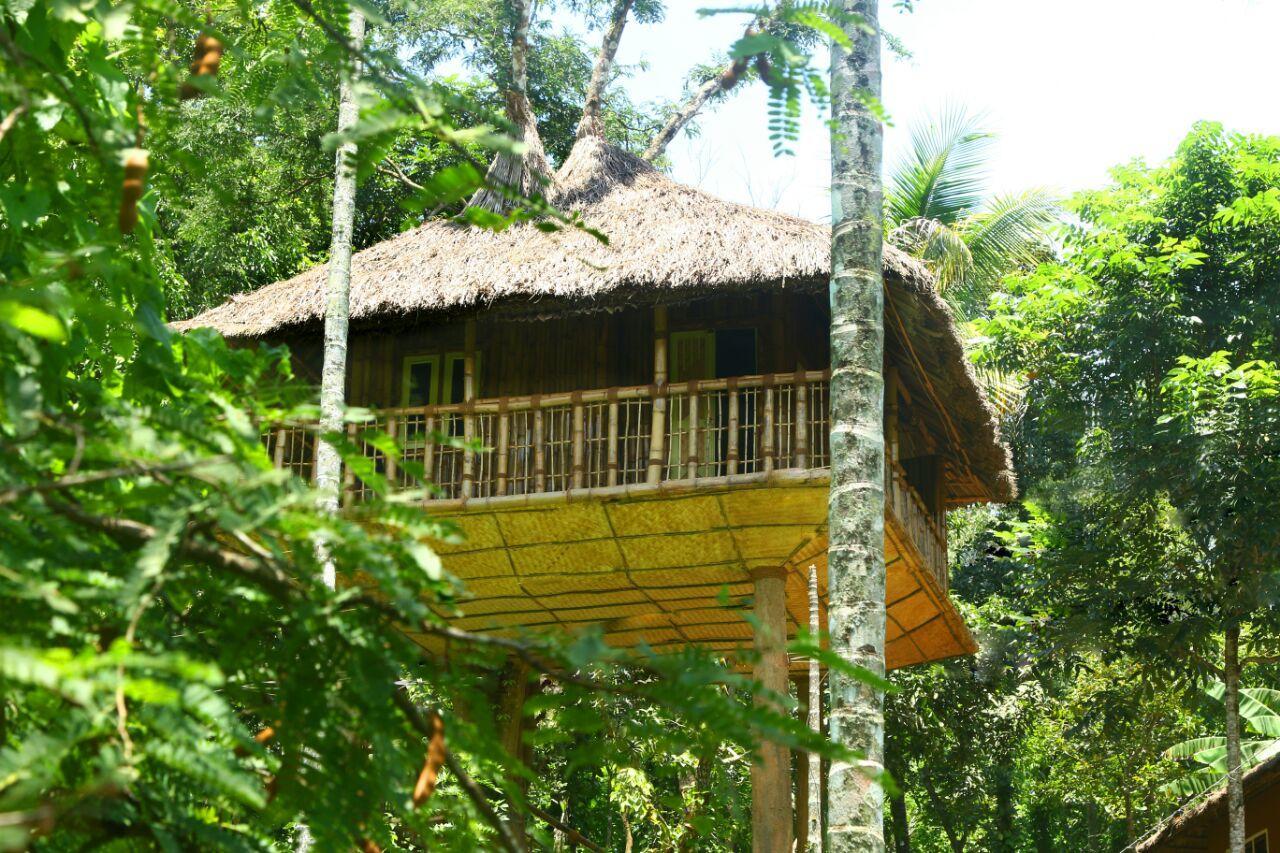 Kalidasa Tree House And Villa, Wayanad Chegat Экстерьер фото